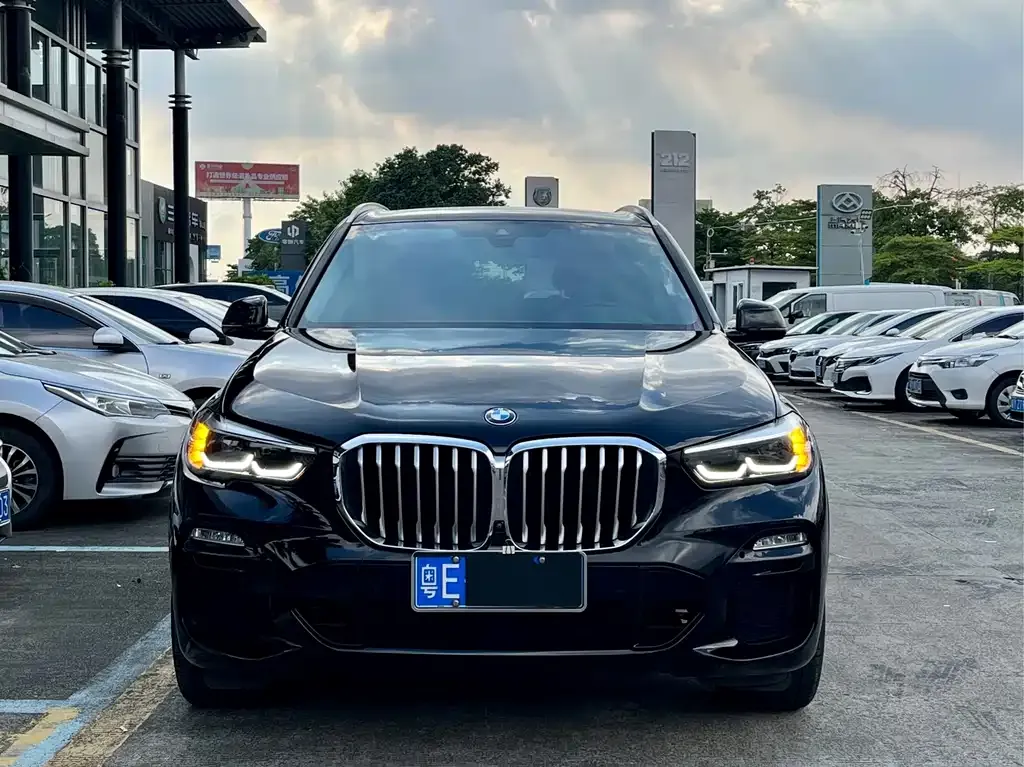 [object Object] X5 (Import) 2021 из CN, фото 2