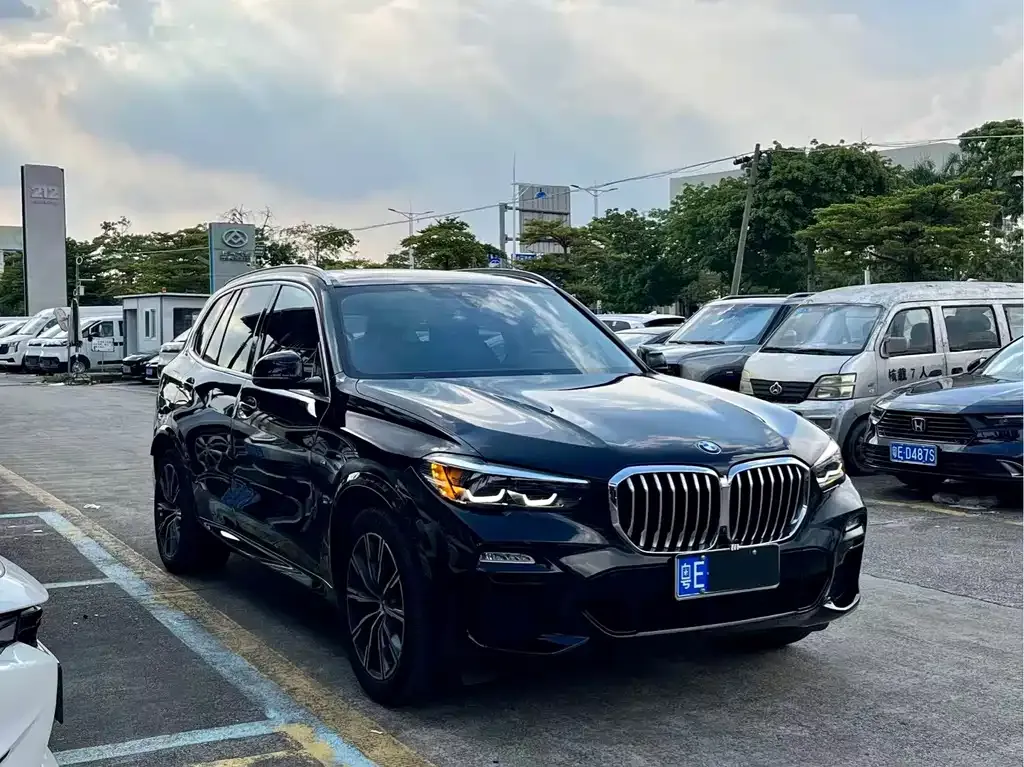 [object Object] X5 (Import) 2021 из CN, фото 3