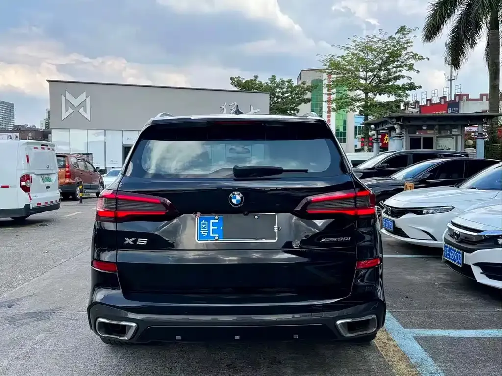 [object Object] X5 (Import) 2021 из CN, фото 5