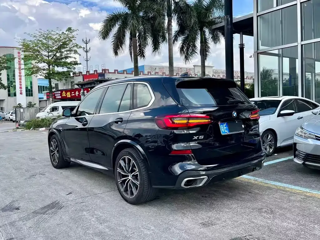 [object Object] X5 (Import) 2021 из CN, фото 6