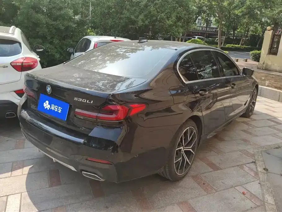 BMW 5 Series 2023 из CN, фото 3