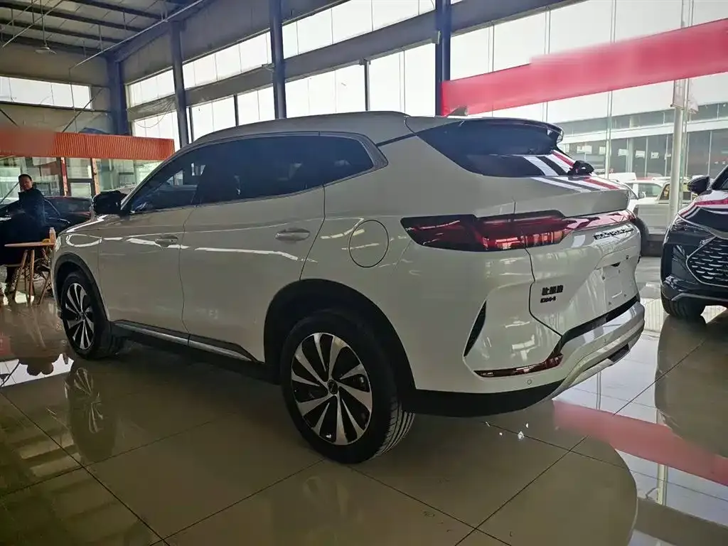 BYD PLUS New Energy 2023 из CN, фото 10