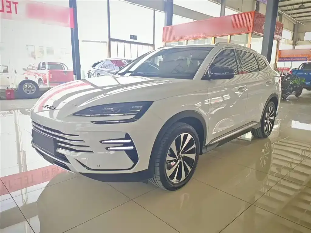 BYD PLUS New Energy 2023 из CN, фото 2