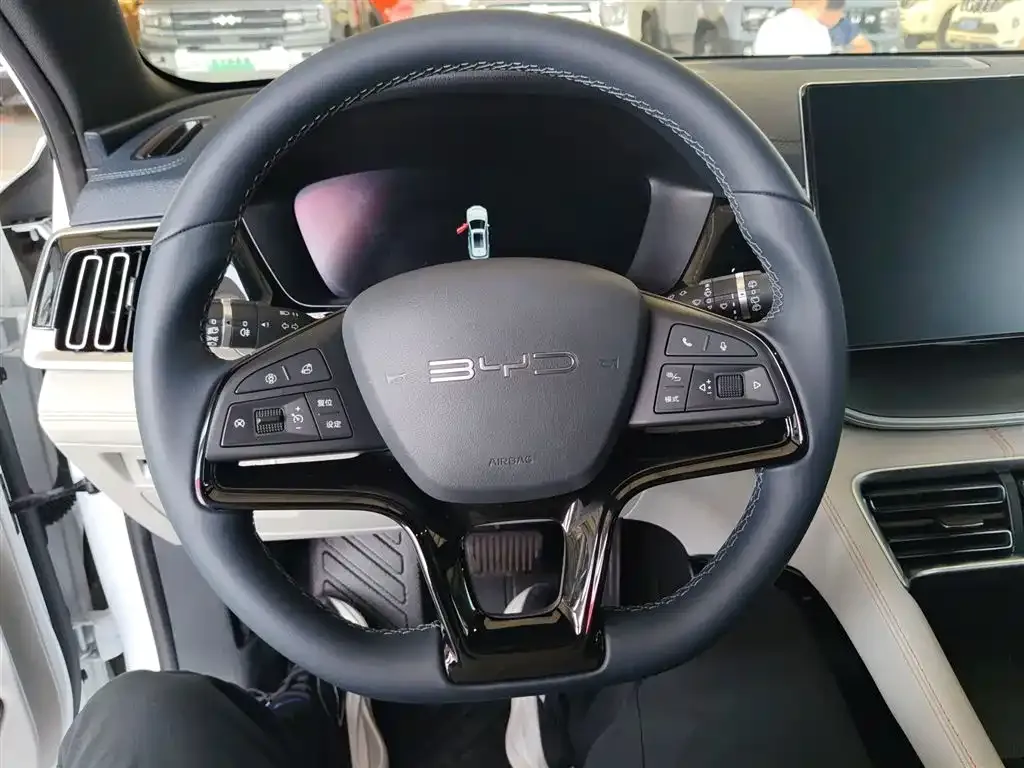BYD PLUS New Energy 2023 из CN, фото 4