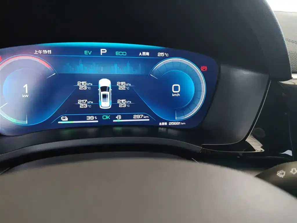 BYD PLUS New Energy 2023 из CN, фото 6