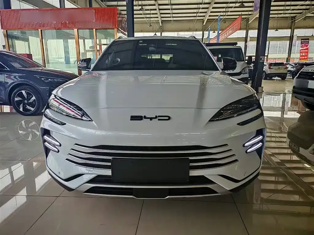 BYD PLUS New Energy 2023 из CN, фото 7