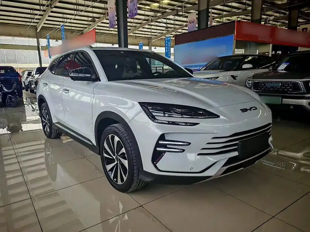 BYD PLUS New Energy 2023 из CN, фото 8