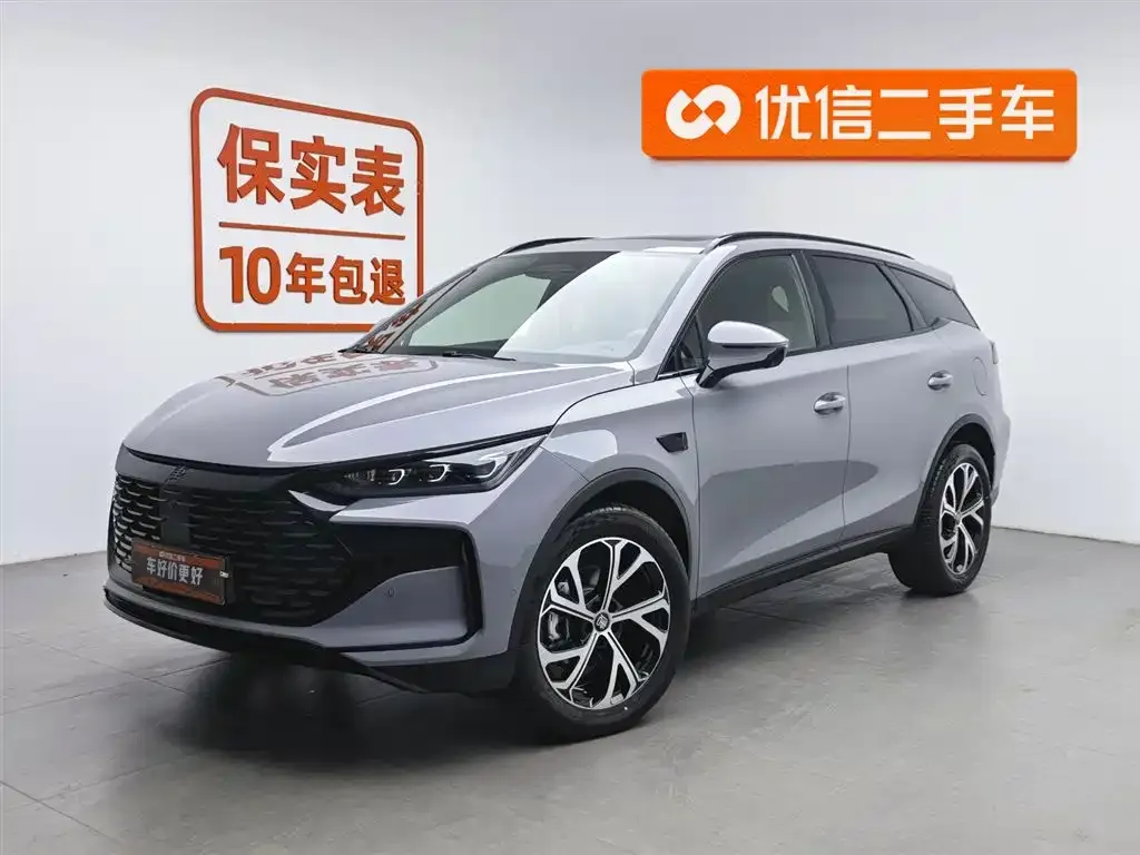 BYD Tang New Energy — фото 1