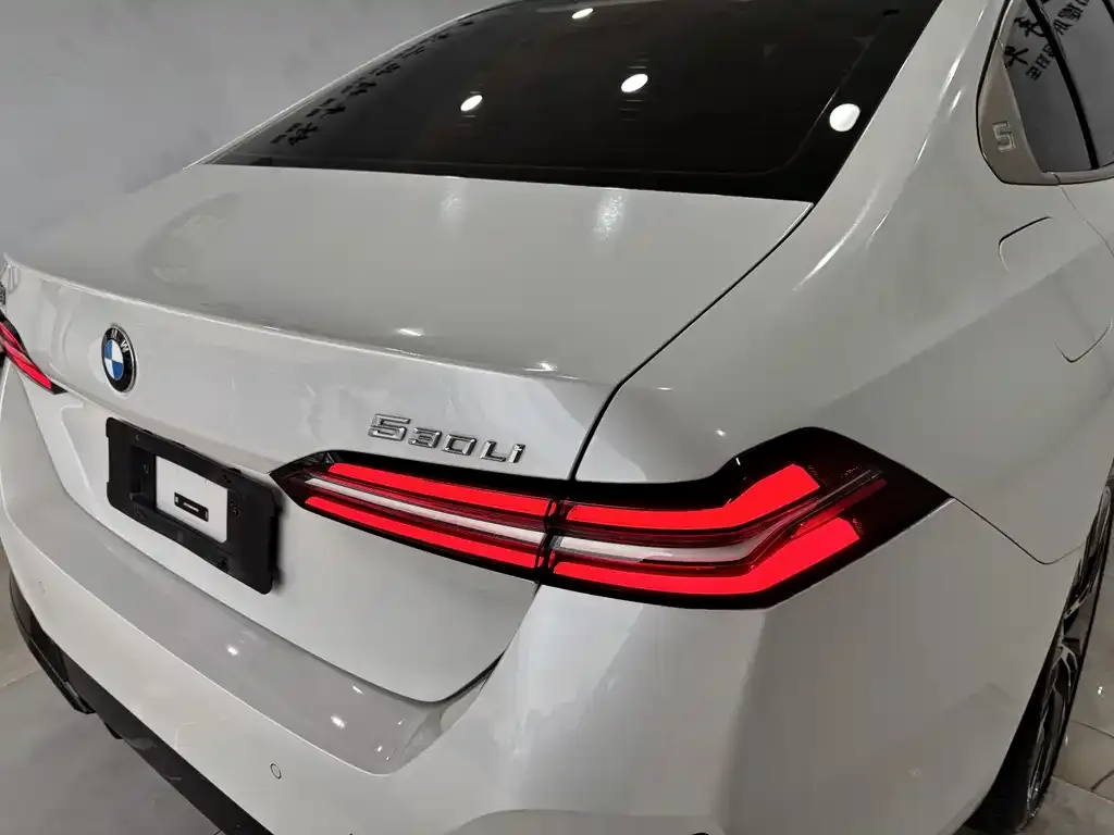 BMW 5 Series 2024 из CN, фото 10