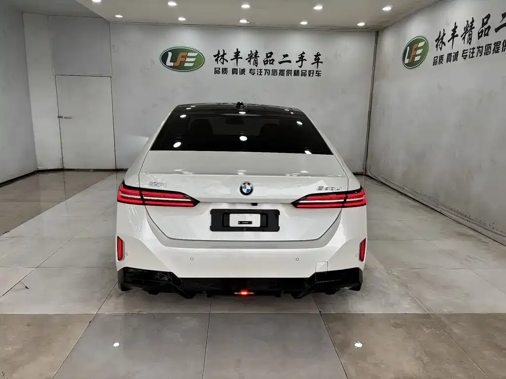 BMW 5 Series 2024 из CN, фото 7