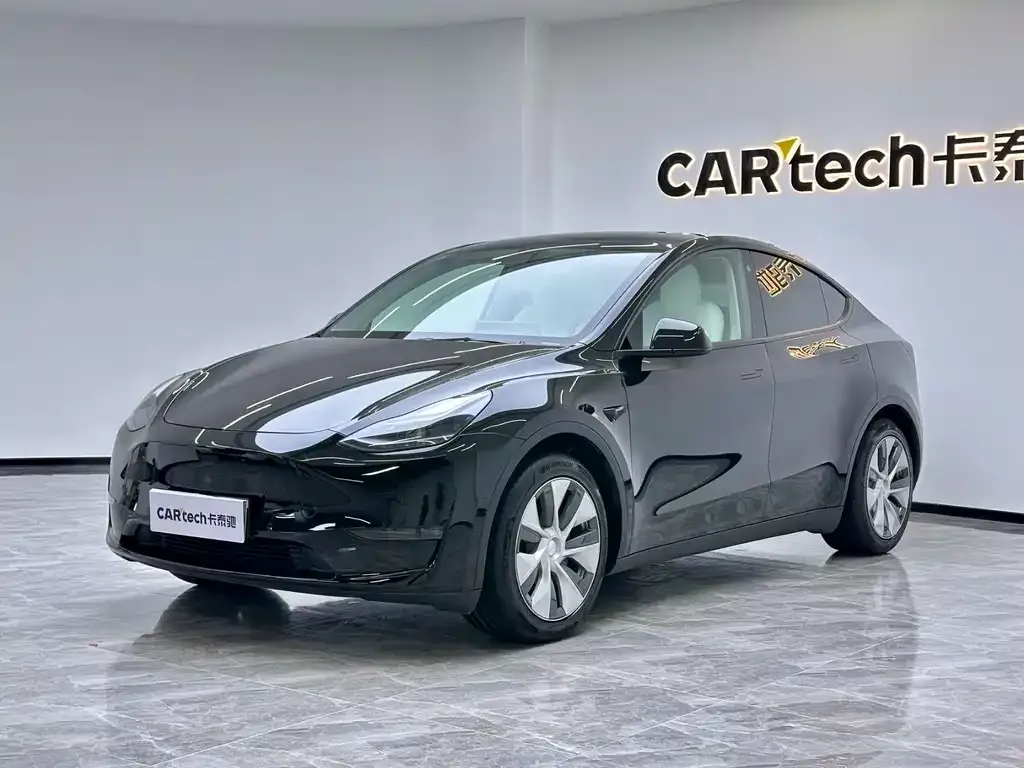 Tesla Model Y 2021 из CN, фото 1