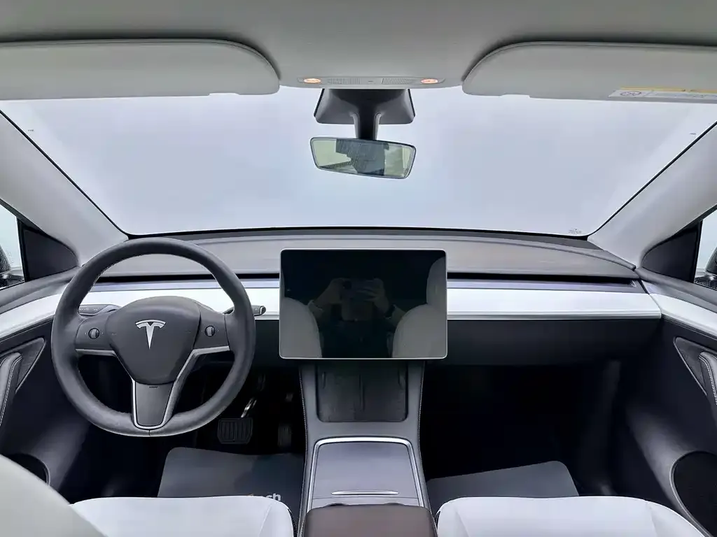 Tesla Model Y 2021 из CN, фото 10