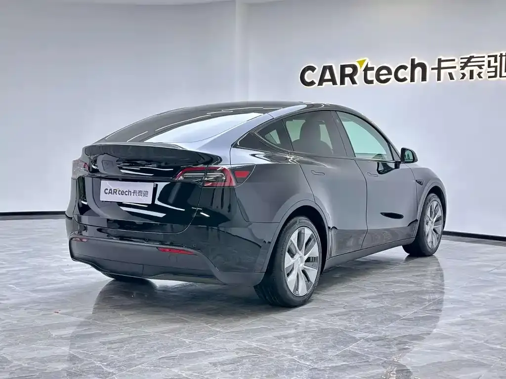 Tesla Model Y 2021 из CN, фото 2