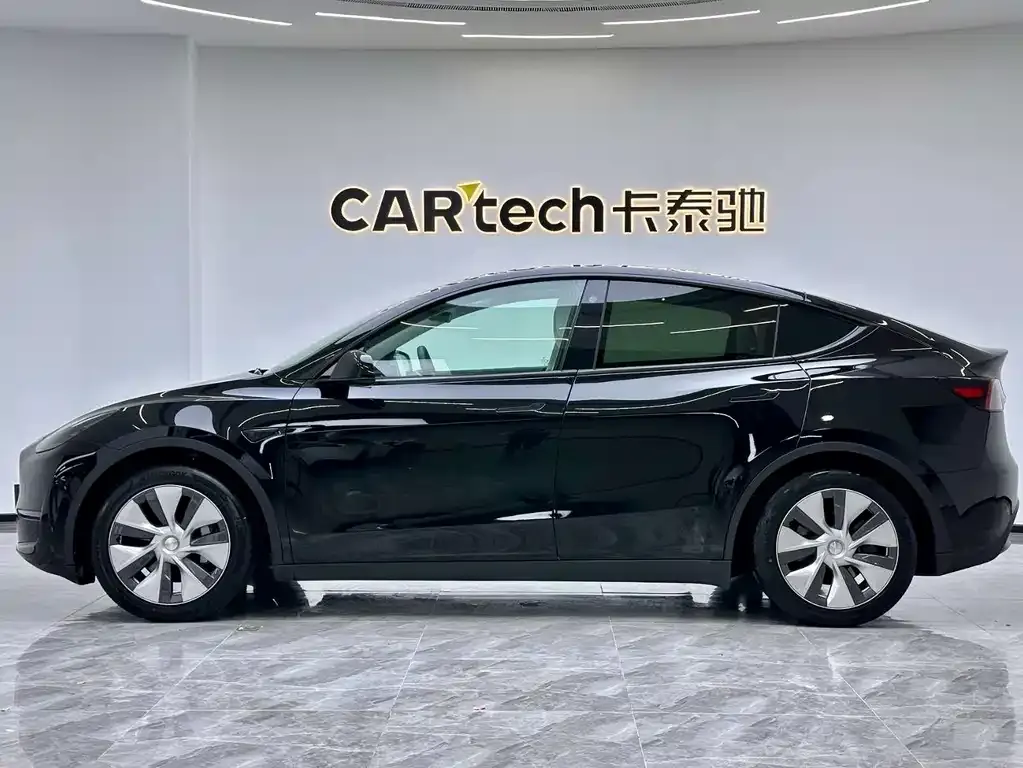 Tesla Model Y 2021 из CN, фото 3