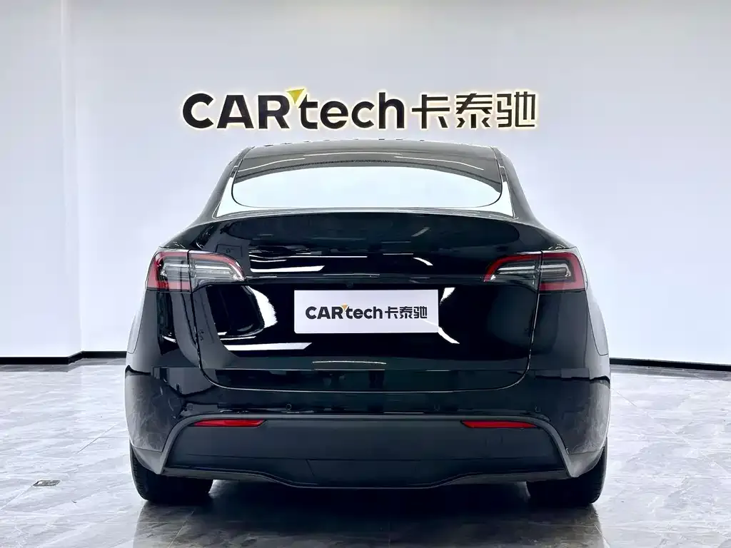 Tesla Model Y 2021 из CN, фото 6