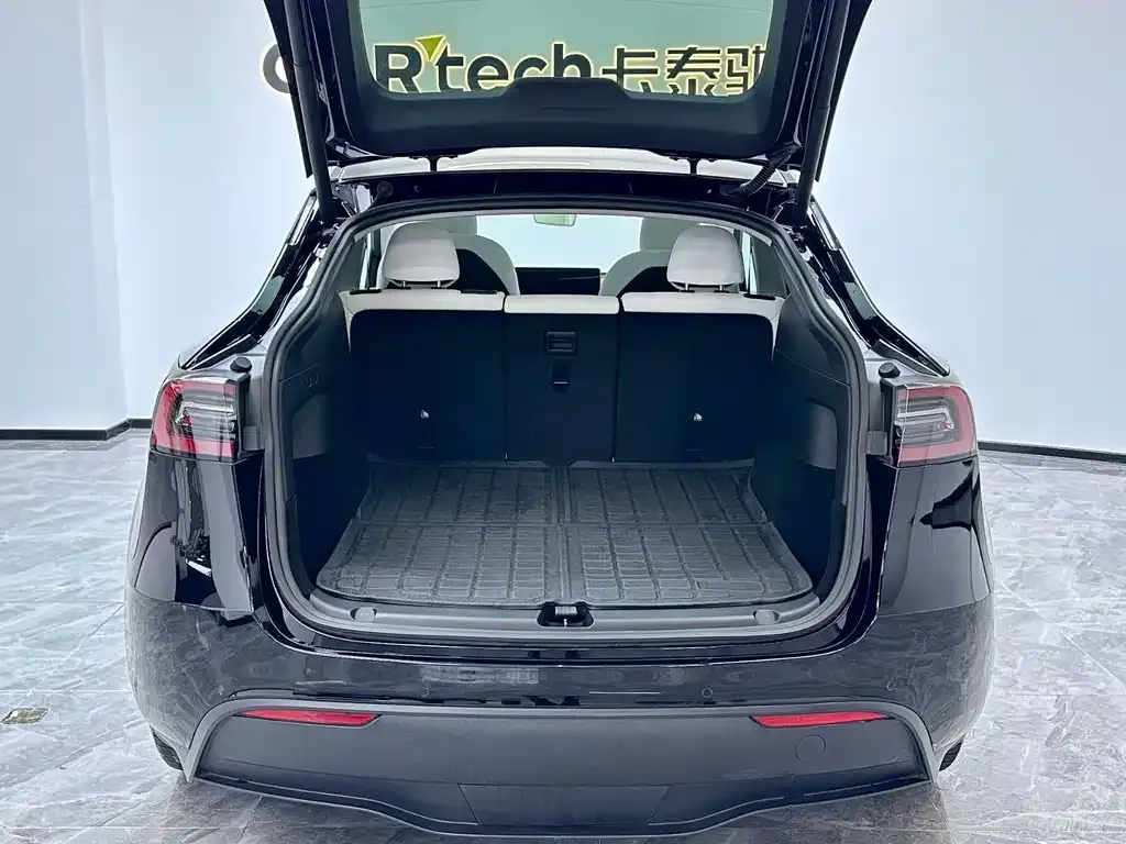 Tesla Model Y 2021 из CN, фото 9