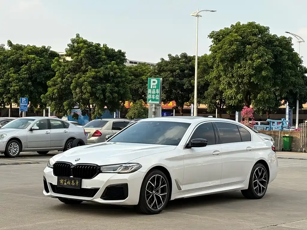 BMW 5 Series 2021 из CN, фото 1