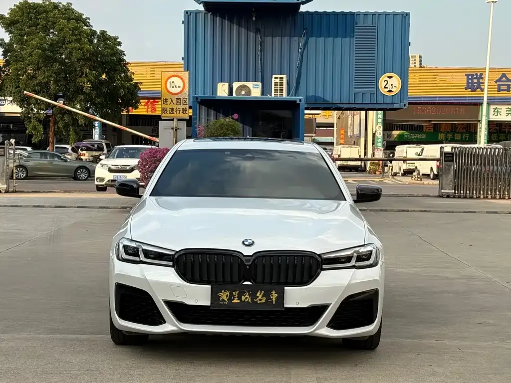 BMW 5 Series 2021 из CN, фото 2