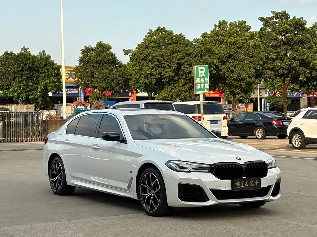 BMW 5 Series 2021 из CN, фото 3
