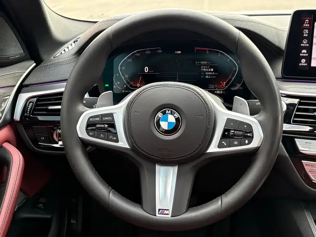 BMW 5 Series 2021 из CN, фото 6