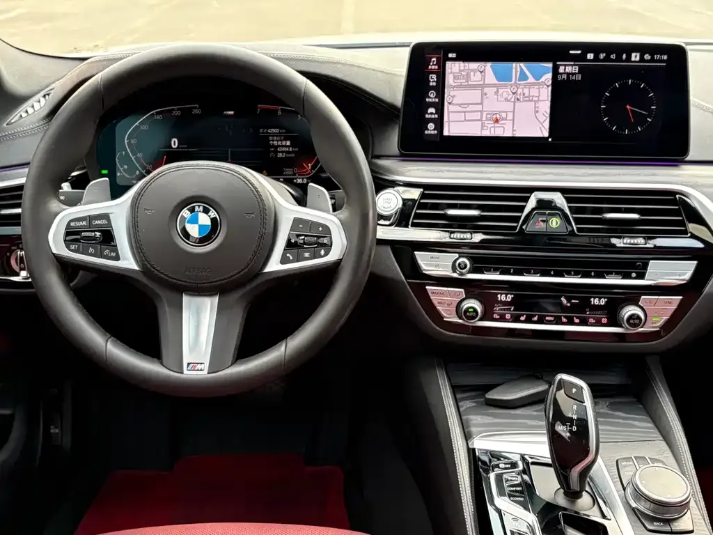 BMW 5 Series 2021 из CN, фото 7