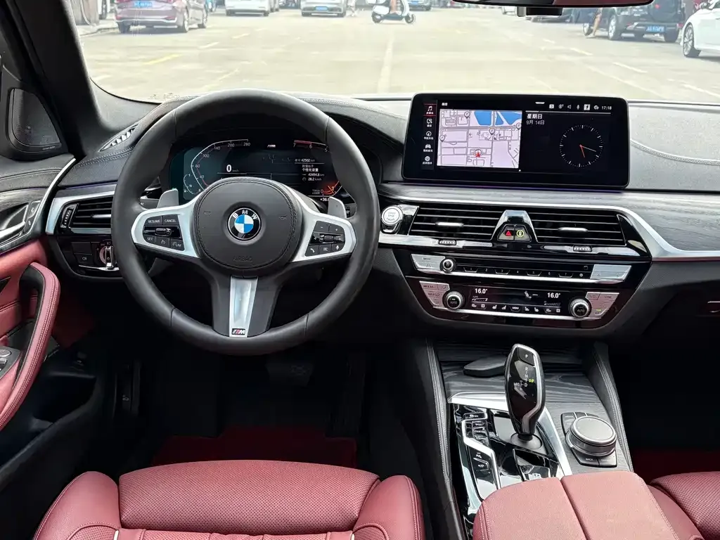 BMW 5 Series 2021 из CN, фото 8