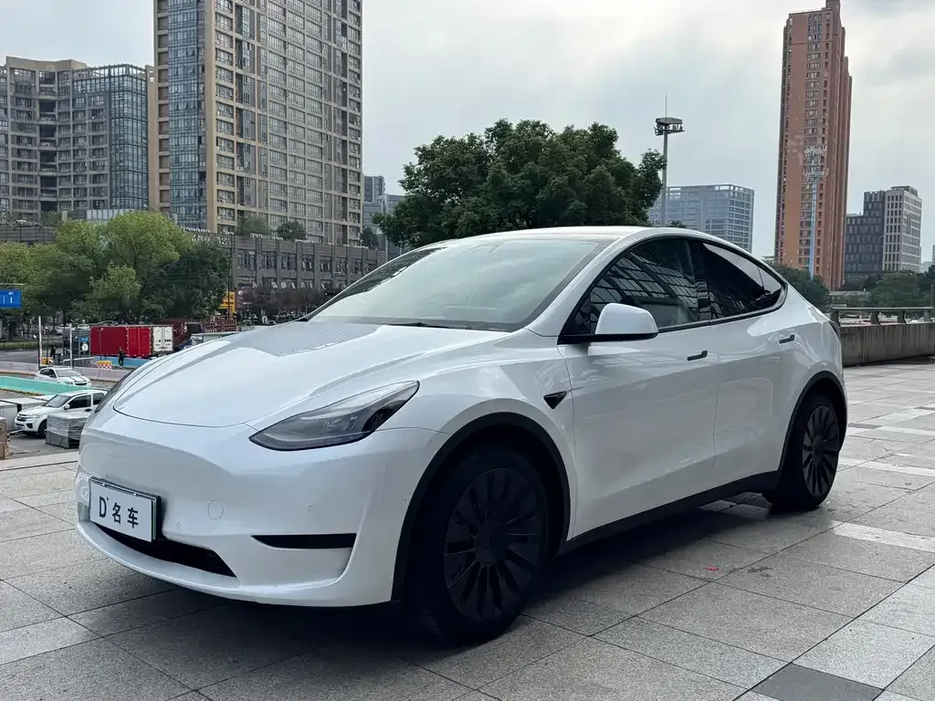 Tesla Model Y — фото 1