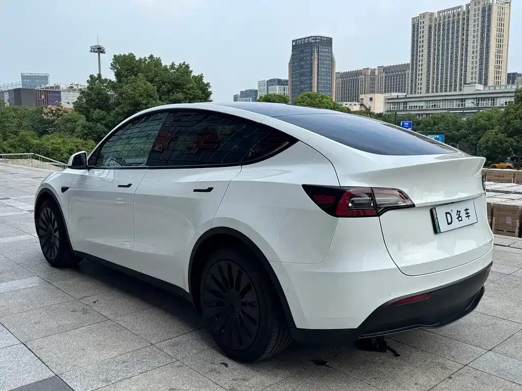 Tesla Model Y — фото 6