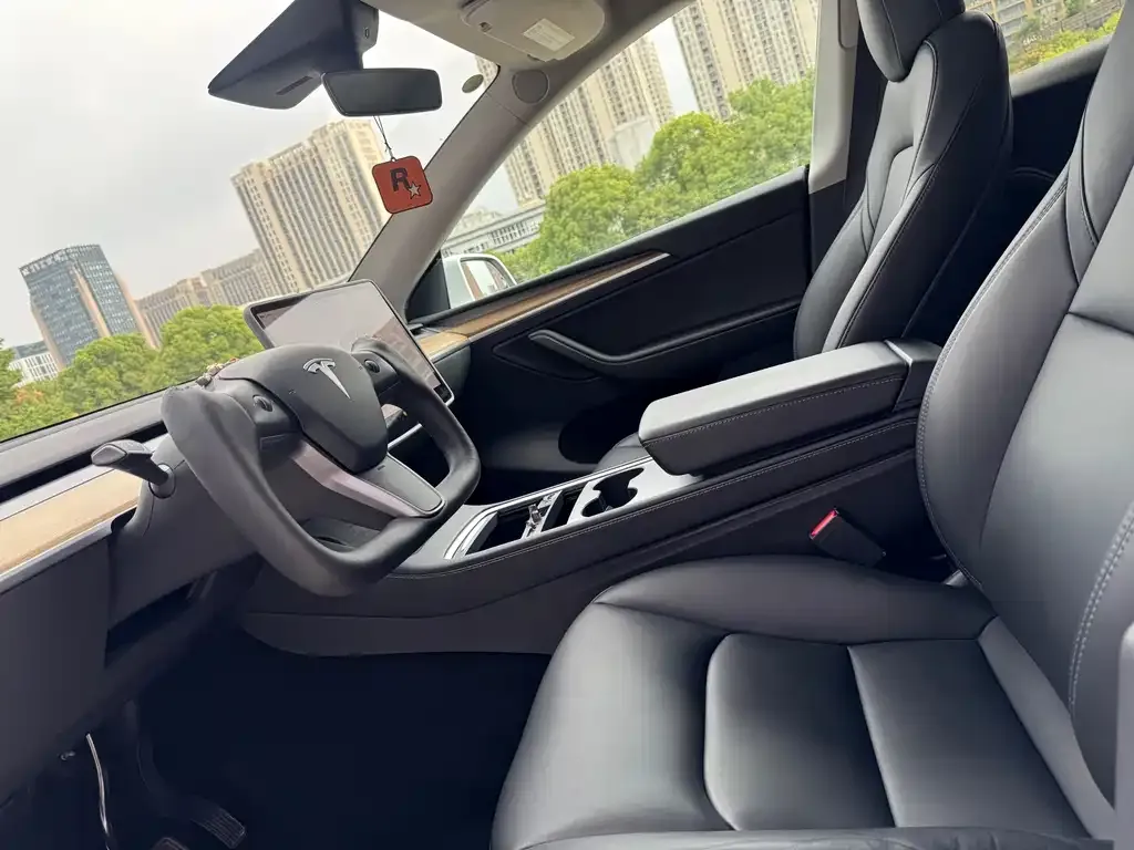 Tesla Model Y — фото 9