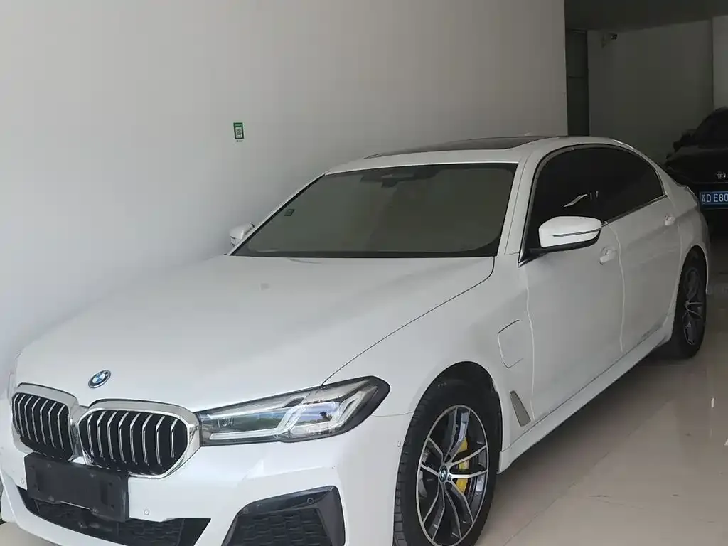 BMW 5 Series New Energy 2022 из CN, фото 1