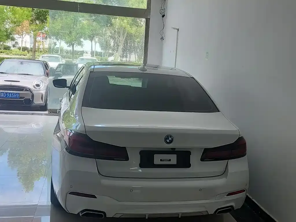 BMW 5 Series New Energy 2022 из CN, фото 4
