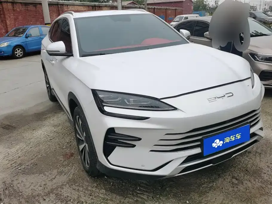 BYD PLUS New Energy 2024 из CN, фото 1