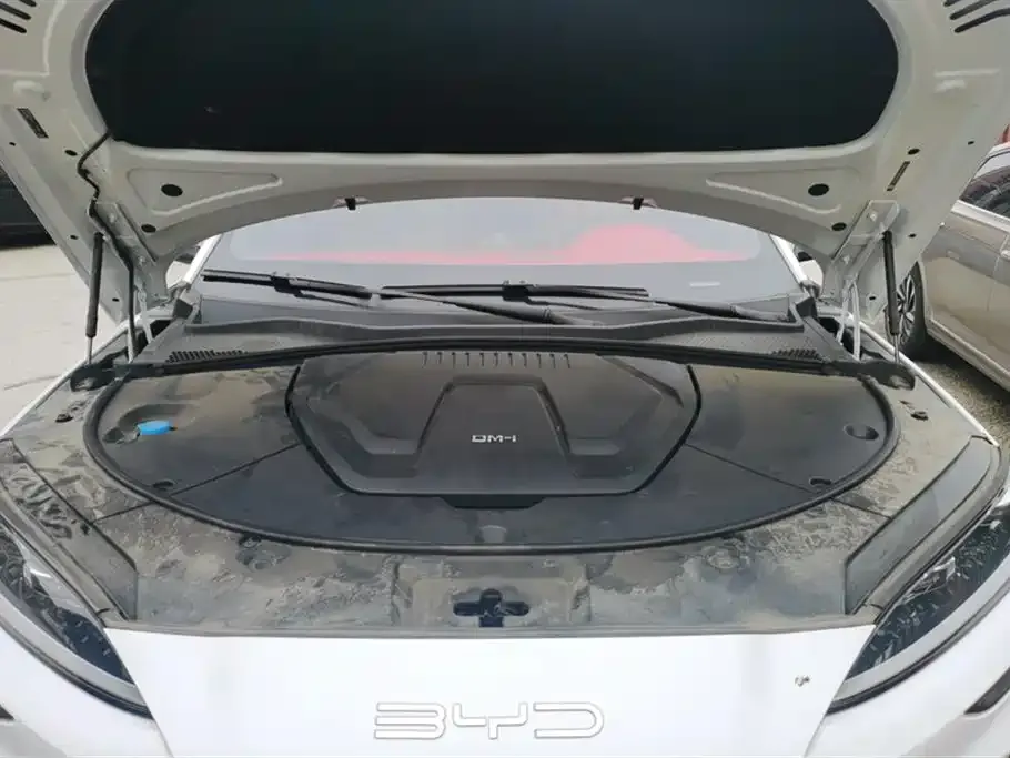 BYD PLUS New Energy 2024 из CN, фото 10