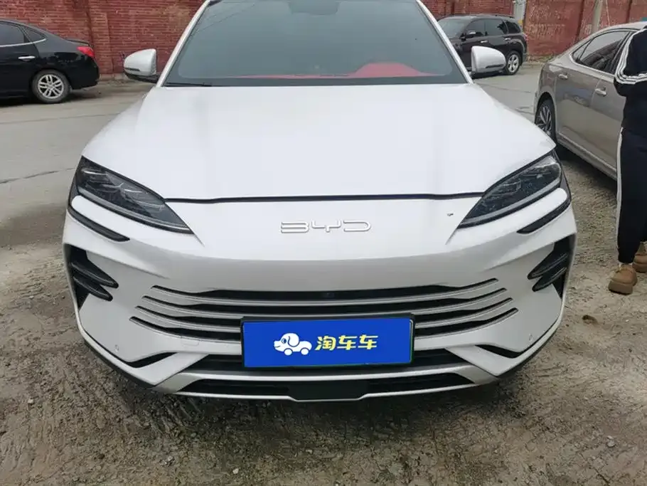 BYD PLUS New Energy 2024 из CN, фото 2