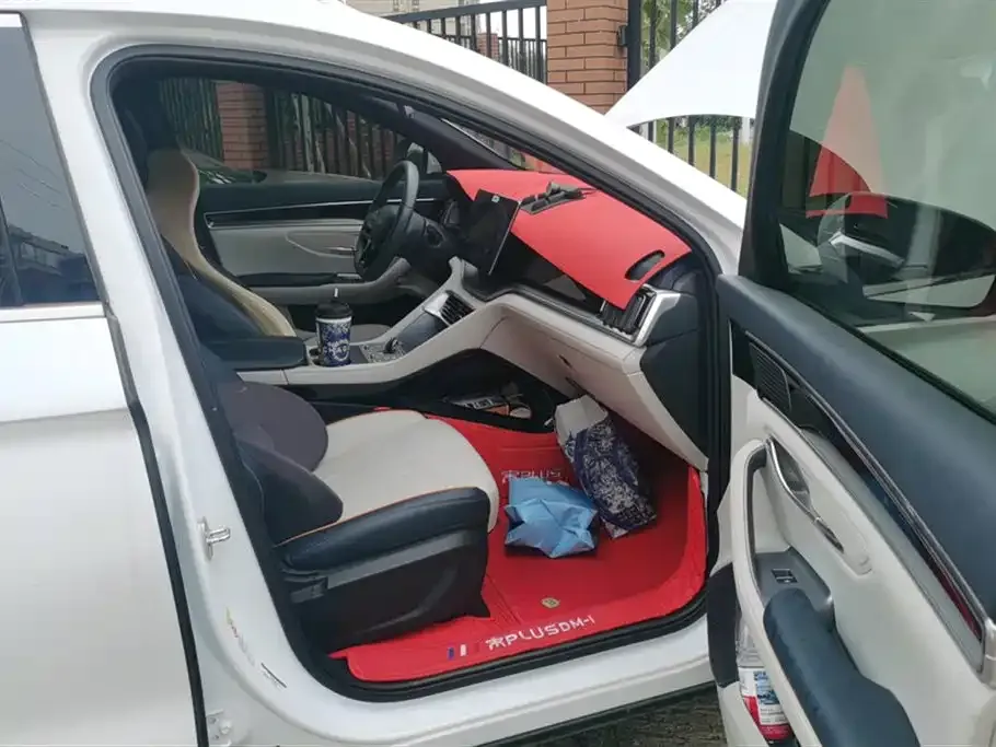 BYD PLUS New Energy 2024 из CN, фото 8
