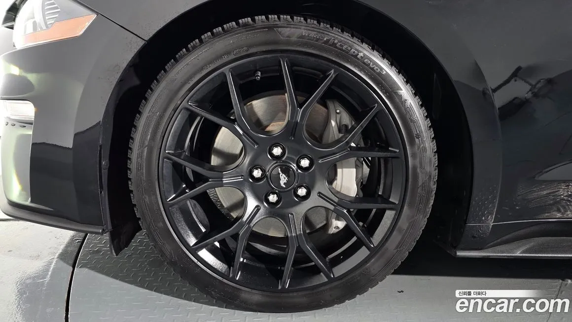 Ford Mustang 2023 из KR, фото 5