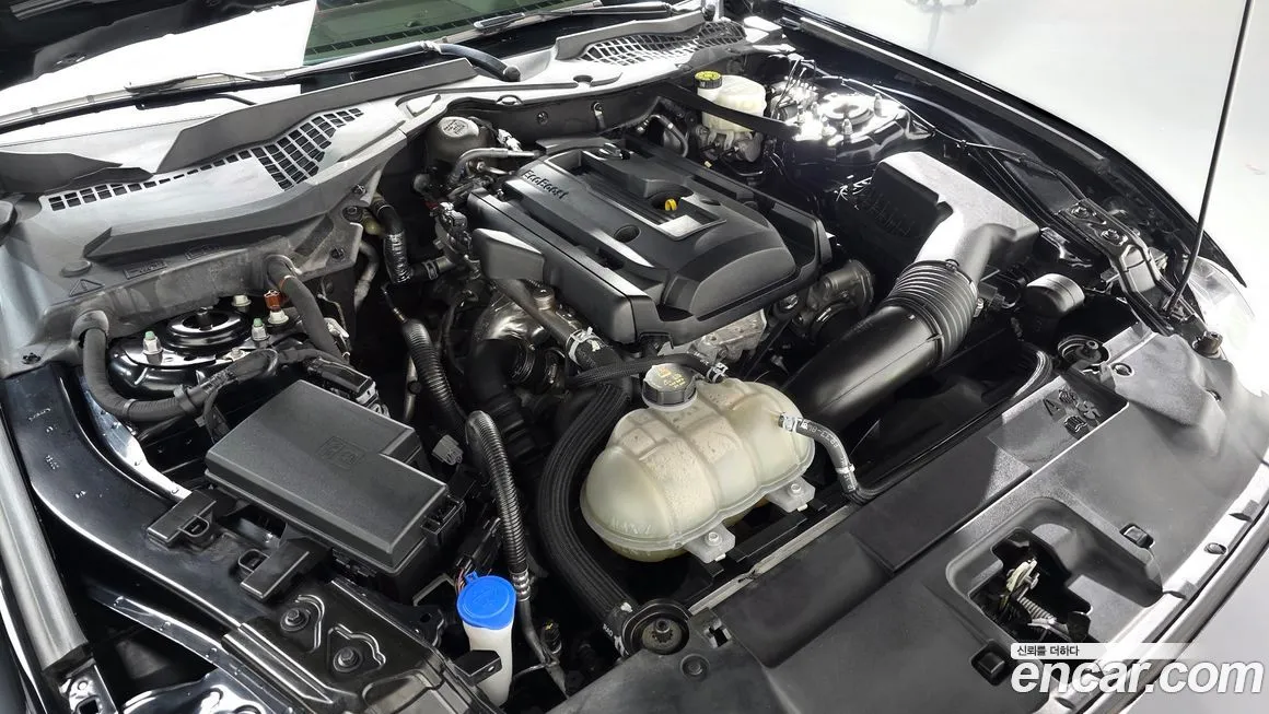 Ford Mustang 2023 из KR, фото 6