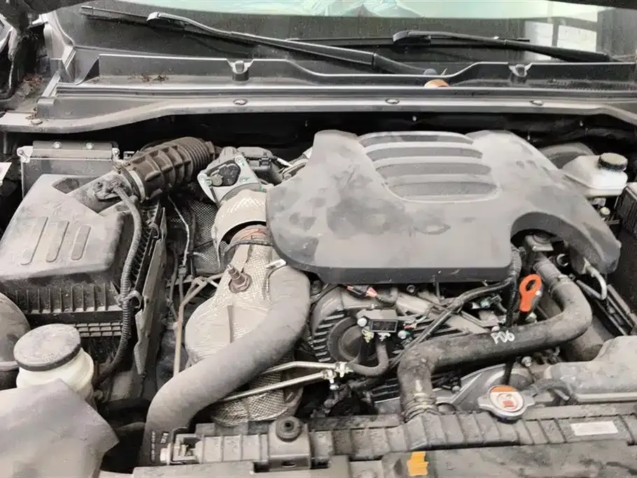 [object Object] King Kong Pao 2022 из CN, фото 10