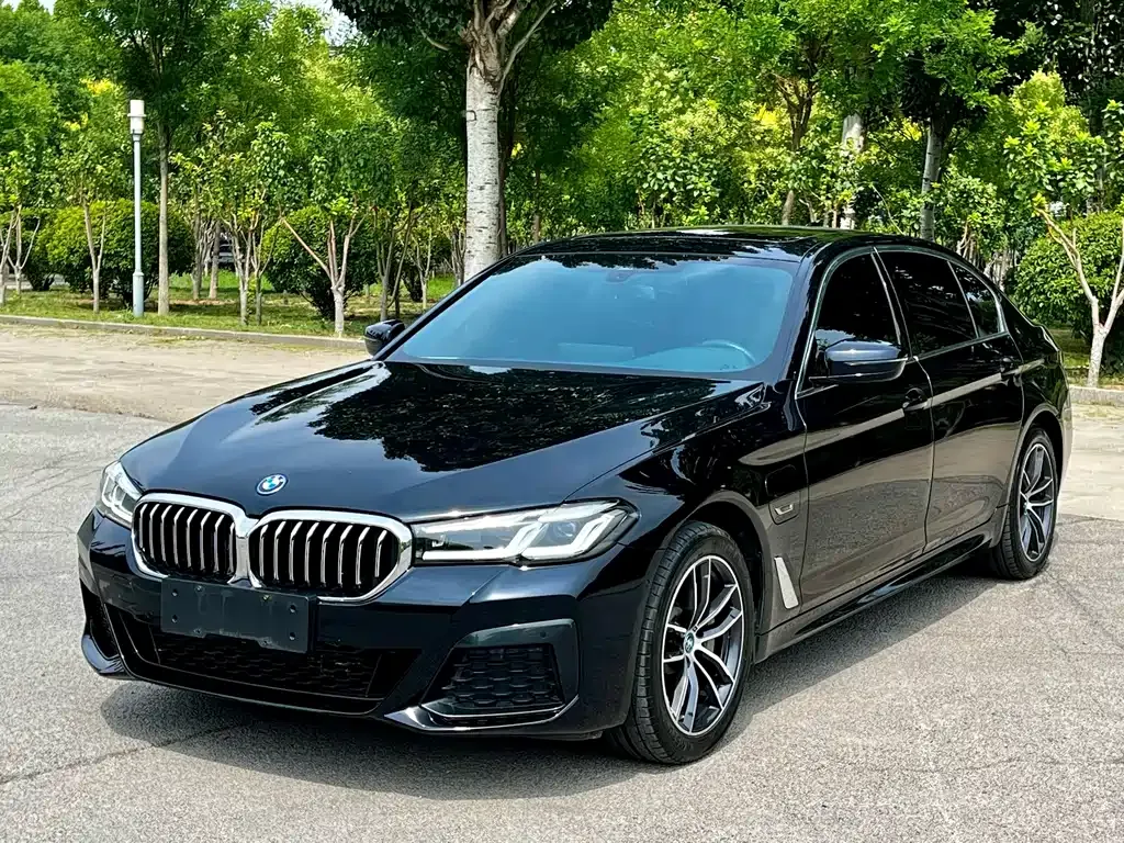BMW 5 Series New Energy 2022 из CN, фото 1