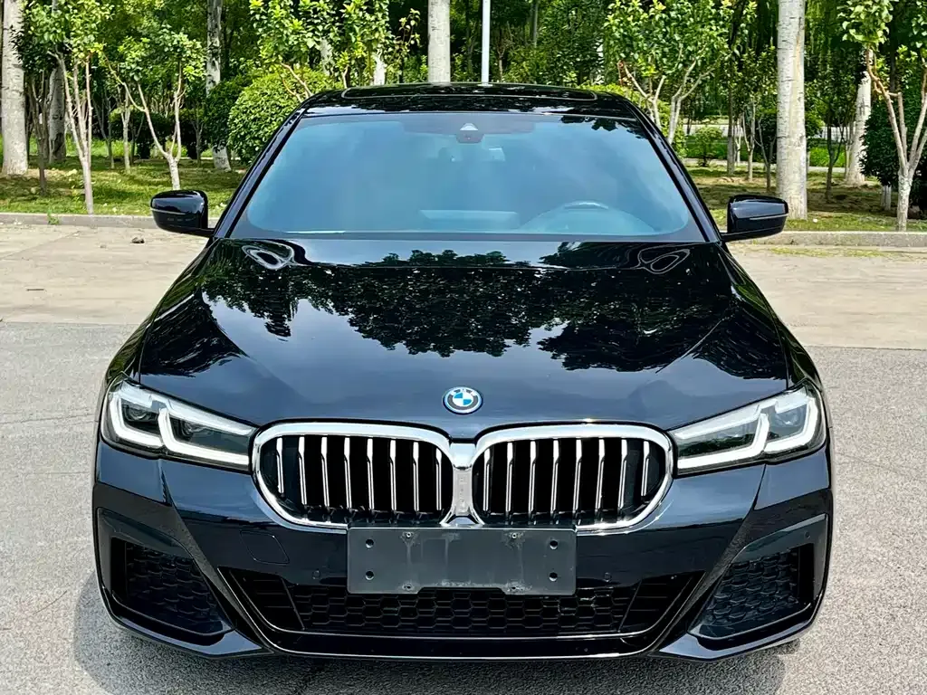 BMW 5 Series New Energy 2022 из CN, фото 2