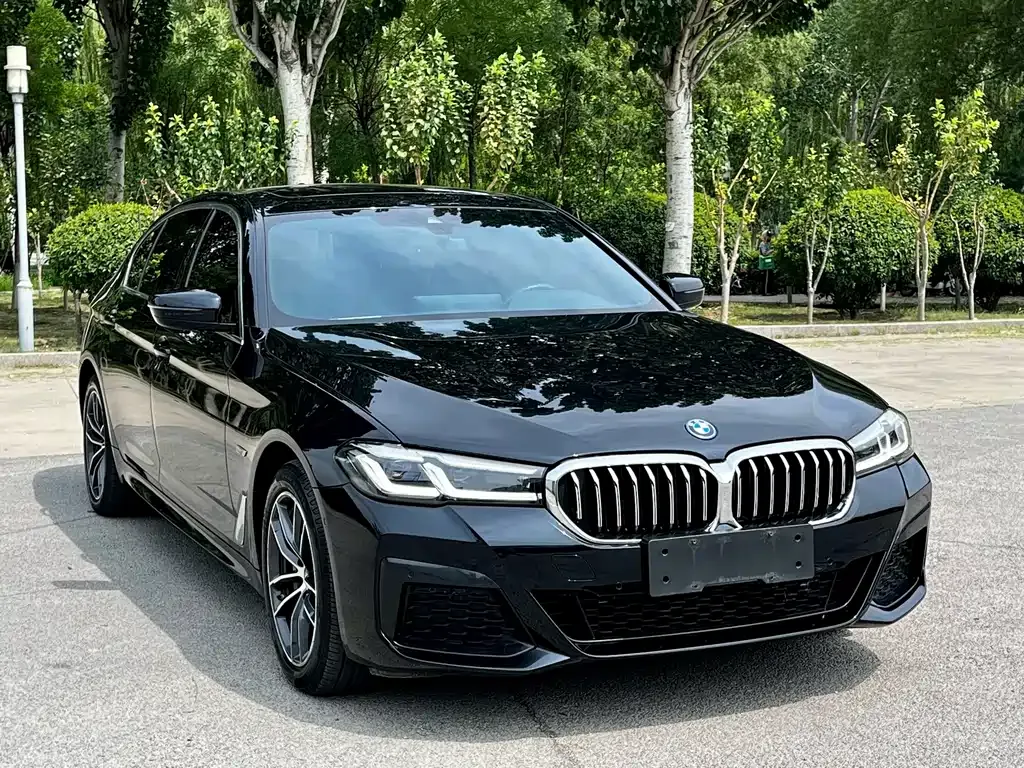BMW 5 Series New Energy 2022 из CN, фото 3