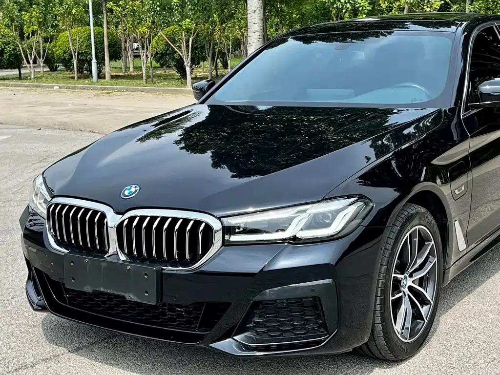 BMW 5 Series New Energy 2022 из CN, фото 4