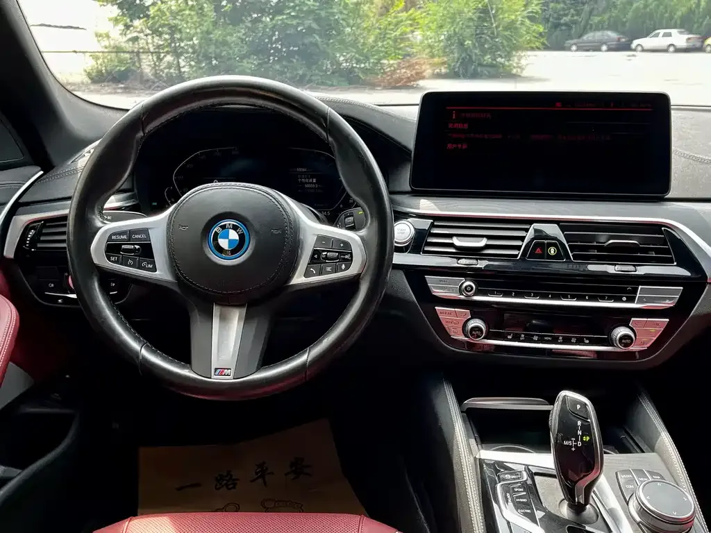 BMW 5 Series New Energy 2022 из CN, фото 8