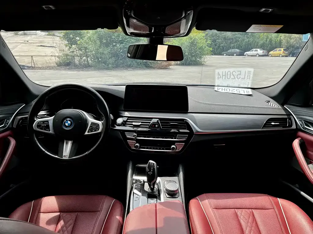 BMW 5 Series New Energy 2022 из CN, фото 9