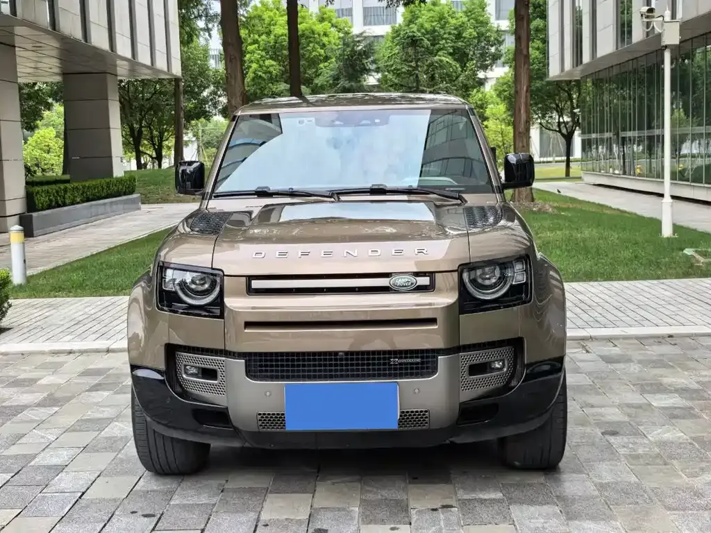 Land Rover Defender 2022 из CN, фото 2
