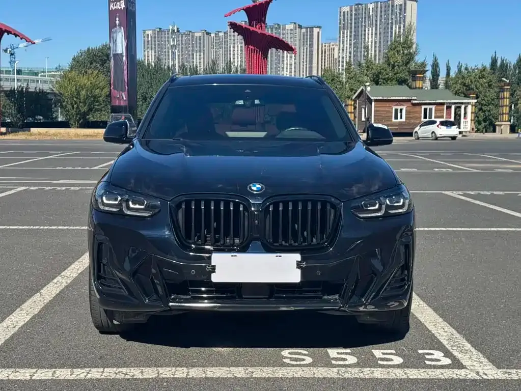 BMW X3 2021 из CN, фото 2