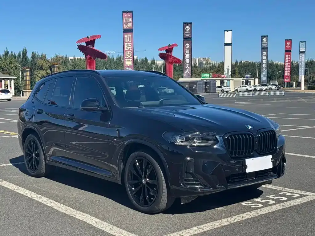 BMW X3 2021 из CN, фото 4