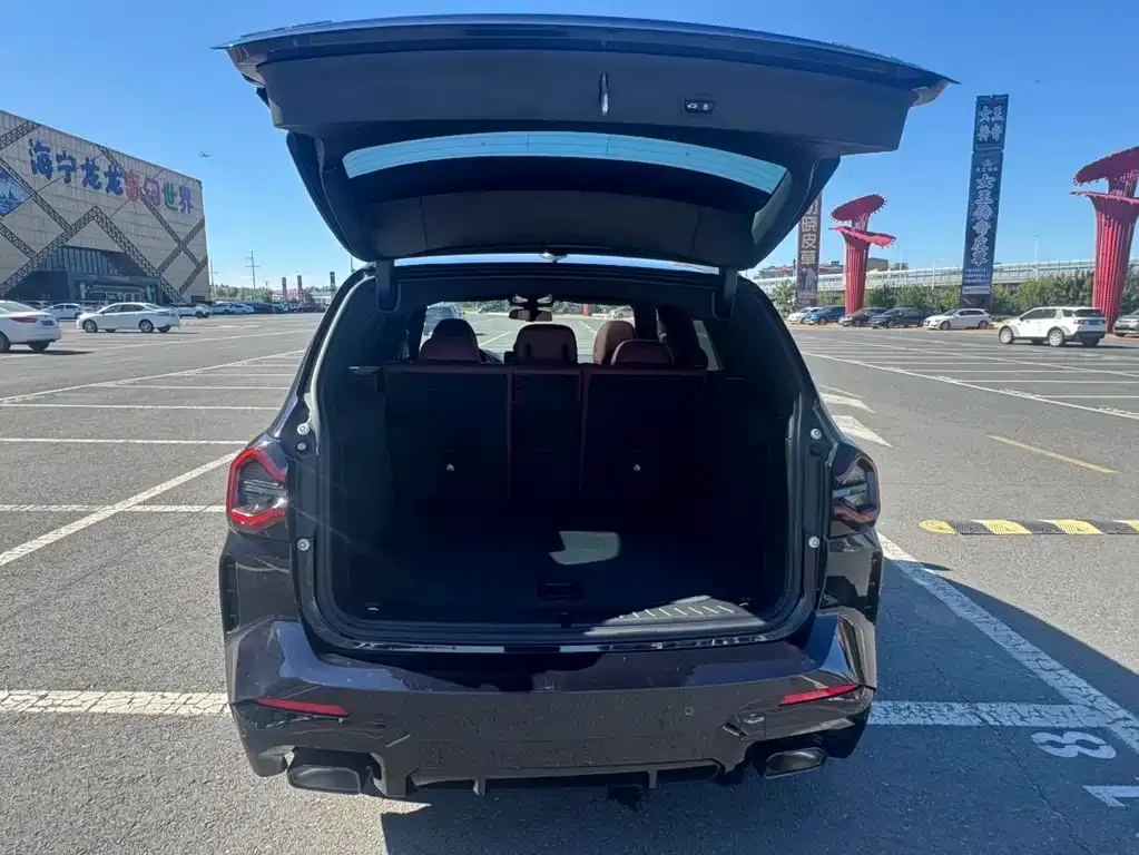 BMW X3 2021 из CN, фото 9