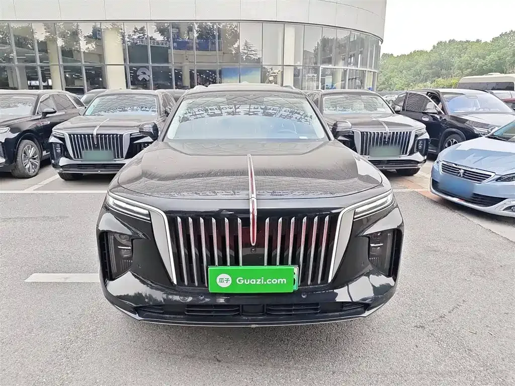 Hongqi E-HS9 2023 из CN, фото 3