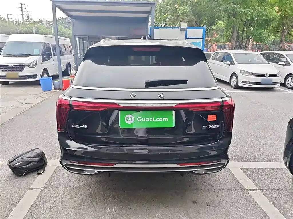 Hongqi E-HS9 2023 из CN, фото 6